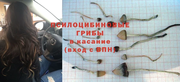 шишки Балахна
